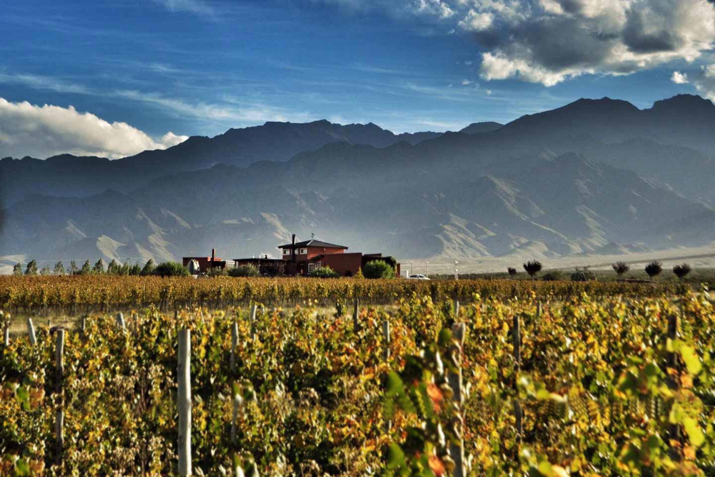 Los Chacayes, un terroir con carácter