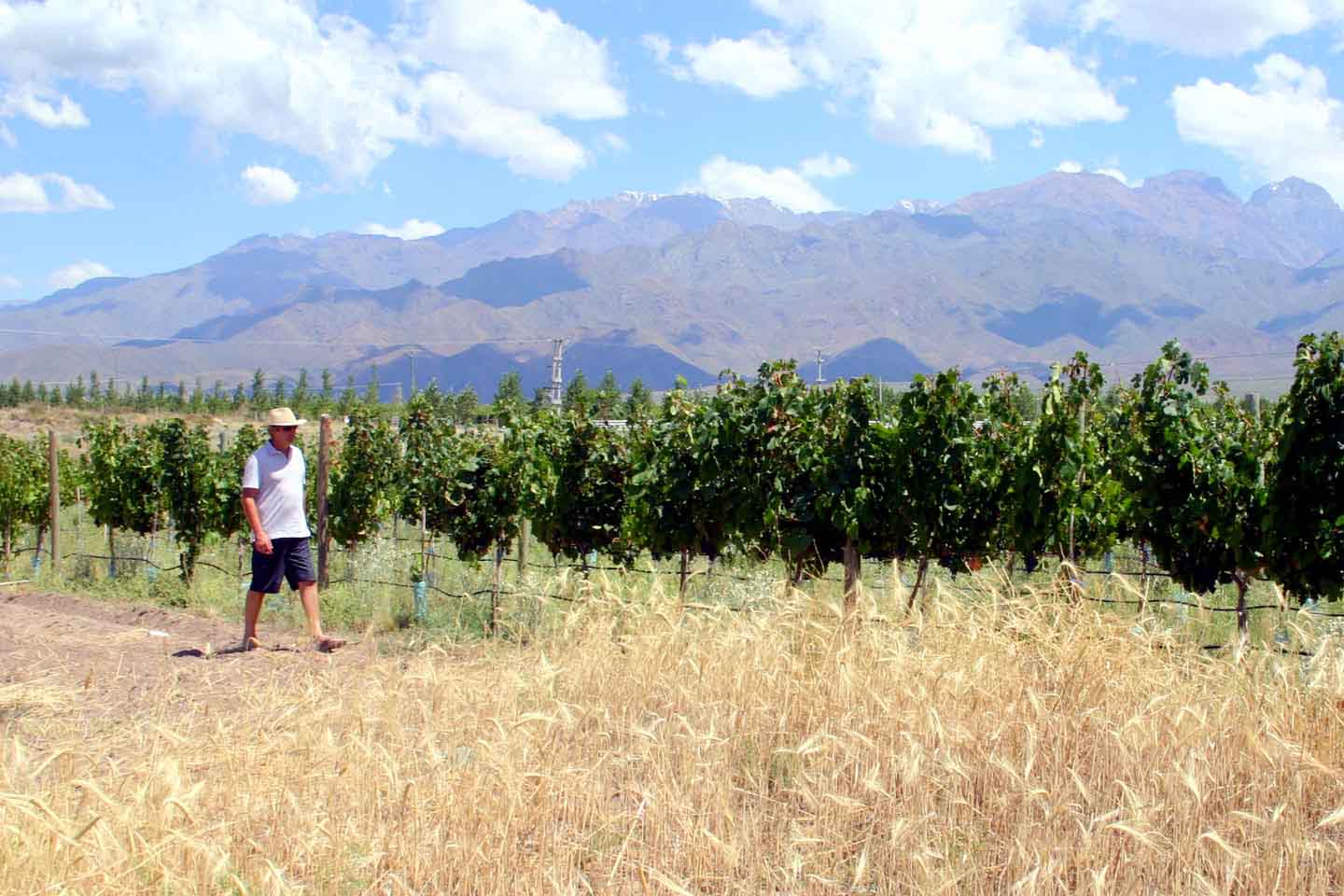 Nuevos terruños para nuevos varietales