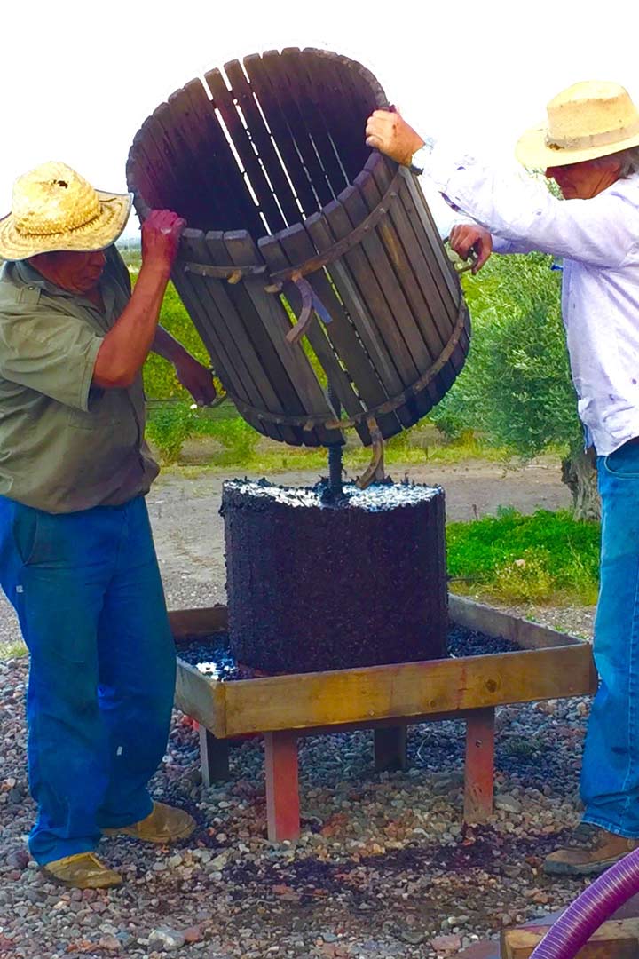 Vino en barricas de roble francés
