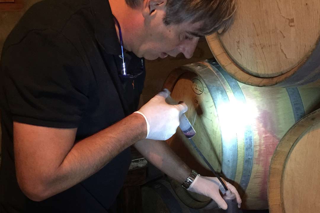 Patrick Blousson, bodega